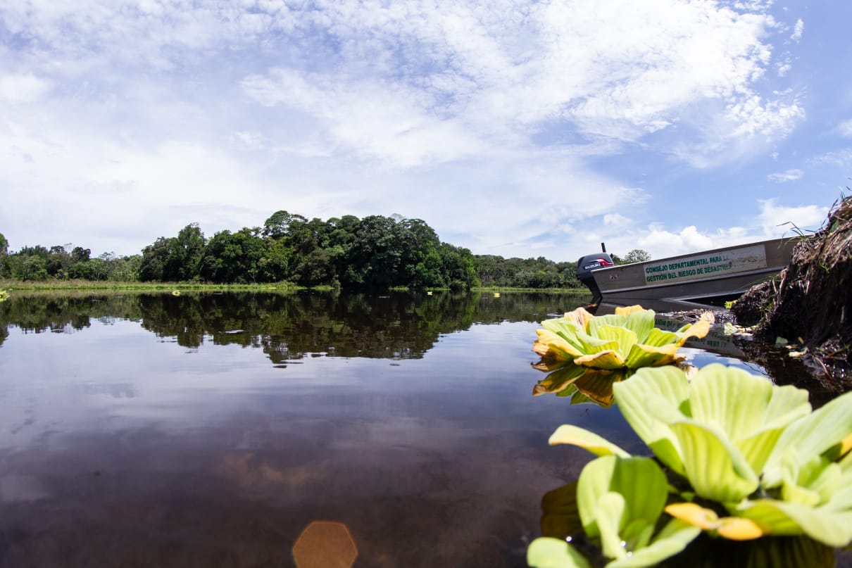 Adaptación y mitigación del cambio climático